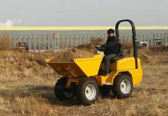 New designed mini site dumper for sales now