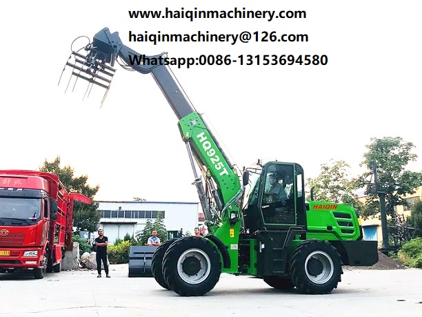 Small Shovel Telescopic Handle Loader Maintenance items every 500h