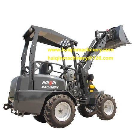 Articulated mini loaders gearbox mantainance way