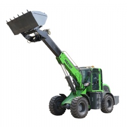 Telescopic loader